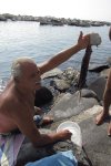 IMG_0062.JPG IMG_0062.JPG
