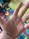 IMG_1559.jpeg IMG_1559.jpeg