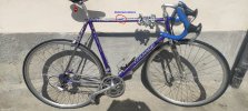 colnago_ammaccatura_.jpg colnago_ammaccatura_.jpg