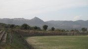 IMG_1198.JPG