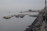 IMG_9916.JPG