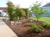 DSCN0350.jpg