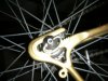 DSCN3043.jpg