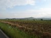 maremma+002.jpg