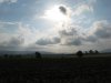 maremma+003.jpg