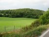 maremma+005.jpg