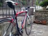 17052011168.jpg