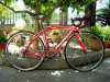 Pinarello Dogma carbon60.1 Chorus 11.jpg