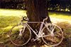 Coppi1.jpg