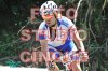 ft_7103209 COLLI3.jpg