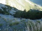 2023-09-25 sentiero Valtellina con Ana e laghi di Cancano 49.JPG