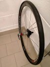 IMG_1398.jpeg
