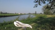 IMG_1206.JPG