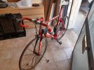 Bici TIME