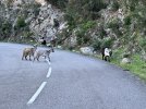 IMG_4805.JPG