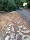 IMG20231020104915.jpg