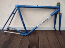 Colnago 01.jpg