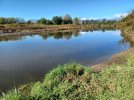 20231027_140239.jpg 20231027_140239.jpg