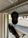 IMG_4575.jpeg