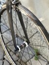 IMG_3340.jpeg