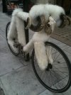 bici-pelosa.jpg bici-pelosa.jpg
