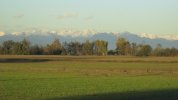 IMG_1376.JPG