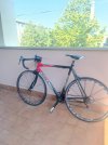 Opera Cellini by Pinarello, anni 2000, buone condizioni