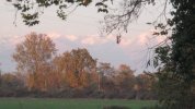 IMG_1405.JPG