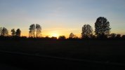 IMG_1411.JPG