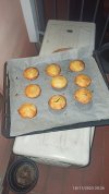 IMG_20231118_202620.jpg