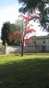IMG_1419.JPG