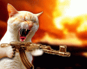 giphy (1).gif giphy (1).gif