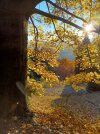 20231122_160601.jpg