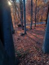 20231122_162602.jpg