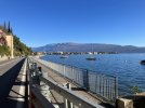 IMG_1481.jpeg