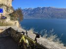 IMG_1482.jpeg