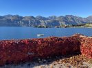 IMG_1487.jpeg