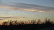 IMG_1450.JPG