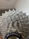 IMG_2410.jpeg