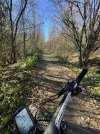 IMG_1505.jpeg