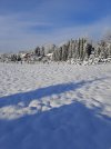 20231129_093334.jpg