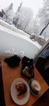 20231202_100838.jpg 20231202_100838.jpg