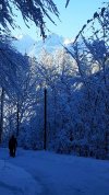 20231203_121842.jpg