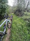 IMG_1991.jpeg