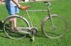 BICI-PAPA'.jpg