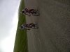 IMG-20110602-00174.jpg