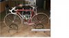 colnago....jpg