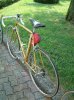 user23863_pic33698_1307094239.jpg