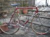colnago 006.jpg