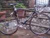 tommasino tecno sella trimatic 001.jpg